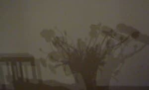 Niets zo waar als adem