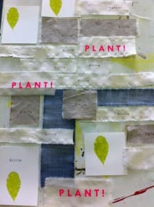 Plantt