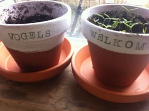 Welkom vogels