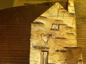 Tiny houses