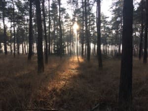 Toegevoegde waarde